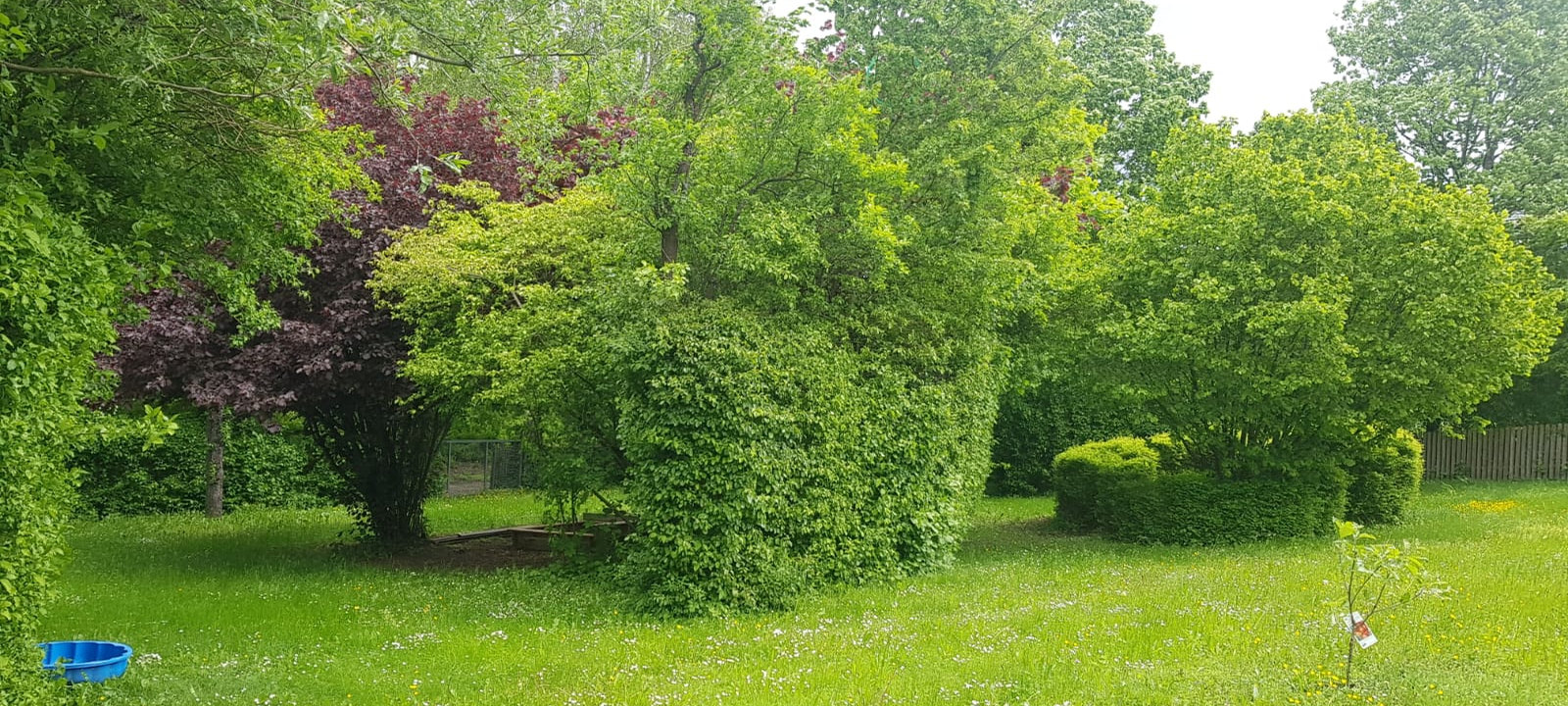 Grüner, naturnaher Garten der Kleinkindgruppe Sausewind in Reutlingen
